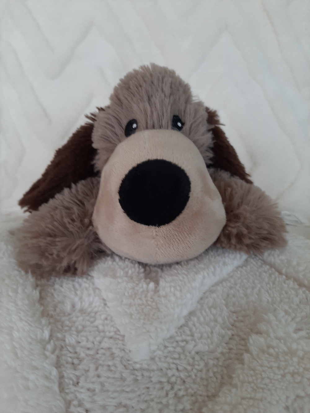 Plush Warmies Soft Brown Puppy Weight Toy. Warm In Microwave.